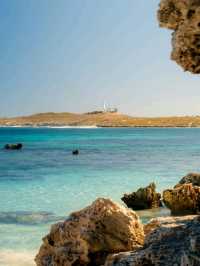 🏝️ Rottnest Island – Perth’s Tropical Paradise Just a Ferry Away! 🐾🌊☀️