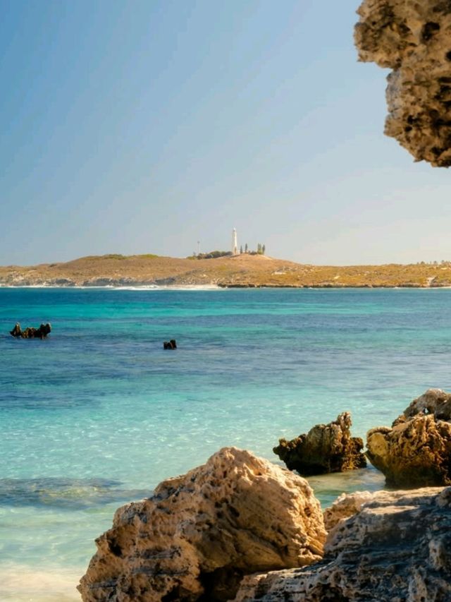 🏝️ Rottnest Island – Perth’s Tropical Paradise Just a Ferry Away! 🐾🌊☀️