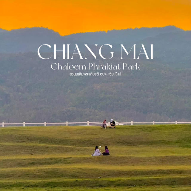 สถานที่ดูแสงเย็น ในเมืองเชียงใหม่ Vibesโคตรดี 🌳🧡
