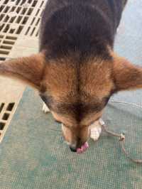 【雨の日でも行ける！宮古島穴場スポットで動物と触れ合い体験】  