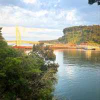 Seogwipo Adventures