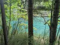Solo Traveller Transportation Guide for JiuZhaiGou from Chengdu!