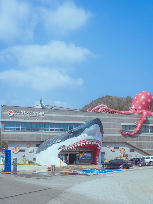 땅끝에서 거대한 대왕고래 뼈를 볼 수 있는“땅끝해양자연사박물관“