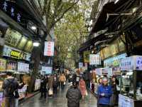 Timeless Treasures: An Epic Journey Through Xi’an’s Ancient Wonders 