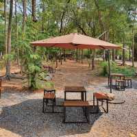 คาเฟ่บรรยากาศร่มรื่น ที่ลาดกระบัง 🍃