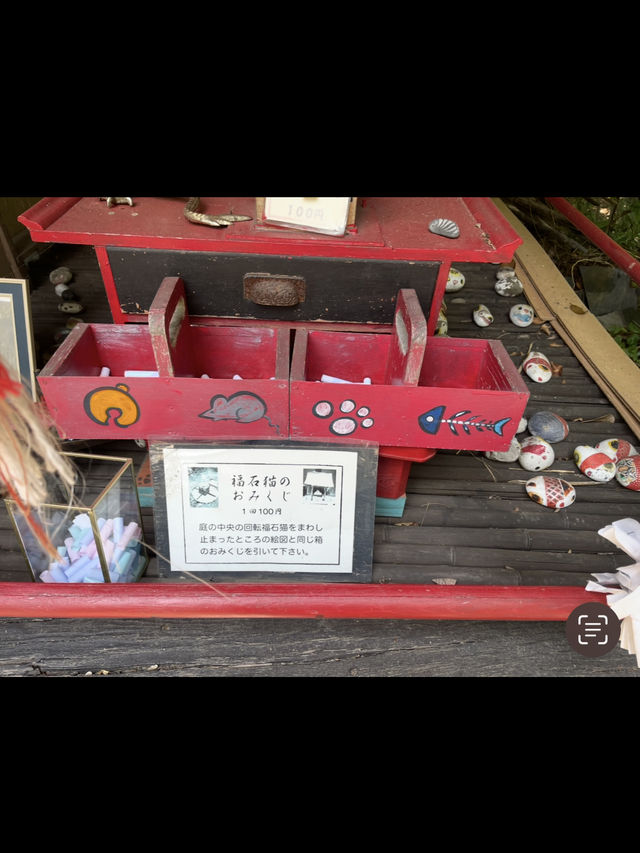 轉角遇到貓-在尾道貓咪小徑與貓貓不期而遇
