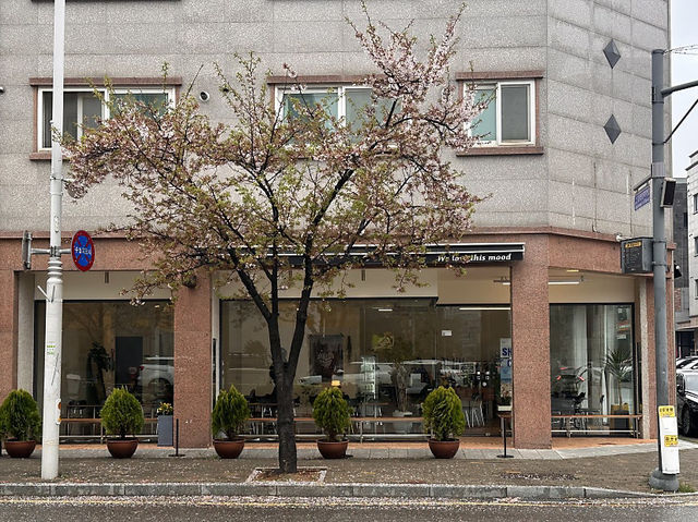 김포 장기동 샬로우 커피