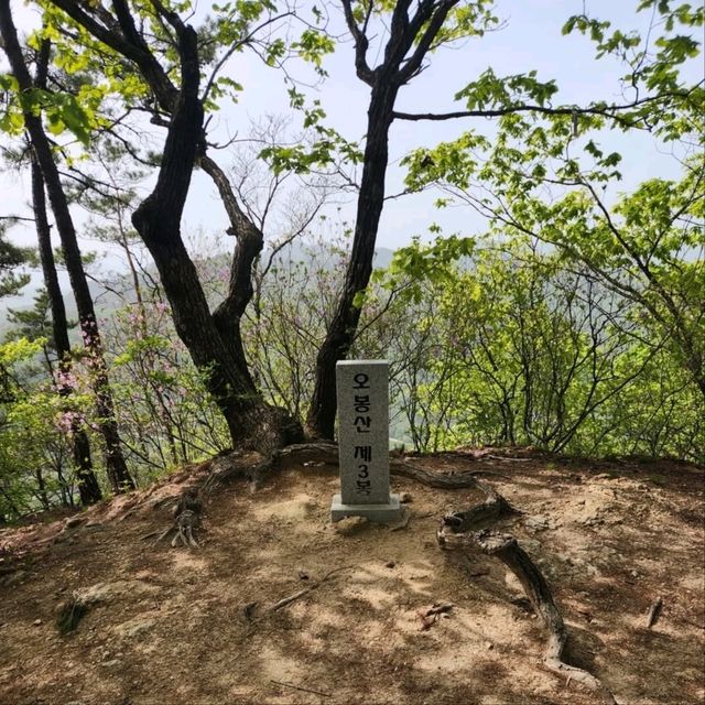 The summit of Mt. Obong