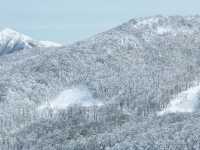 樹冰高原中的滑雪天堂❄️