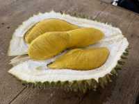 👑 Durian Done Right: Premium Musang King at Durian Hill SS2 🌰