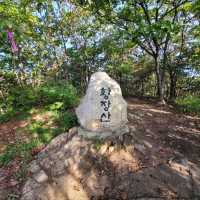 Big Views & Forest Feels in Hwangjangsan