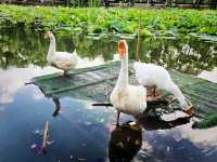Spend 2 great days in Kunming!