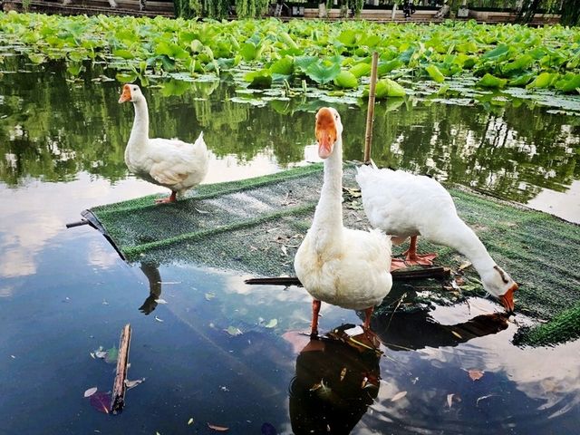 Spend 2 great days in Kunming!
