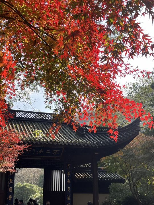 หางโจวใบไม้เปลี่ยนสี 🍂🍁