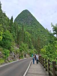 天下山峰何其多  唯有此處峰成林