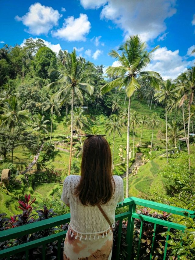 Alas Harum Ubud: Where Every Corner Screams Bali 🌿☕🌾