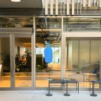 Blue Bottle Cafe
