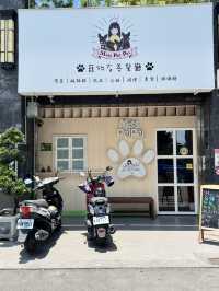 🐾《旅人的高雄毛孩手札》