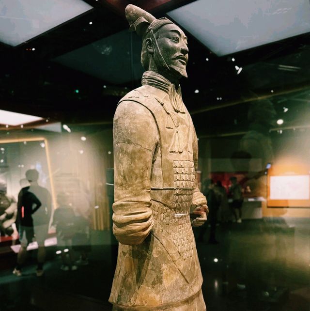 香港歷史博物館2025年7月兵馬俑展覽遊覽參觀攻略，適合親子遊