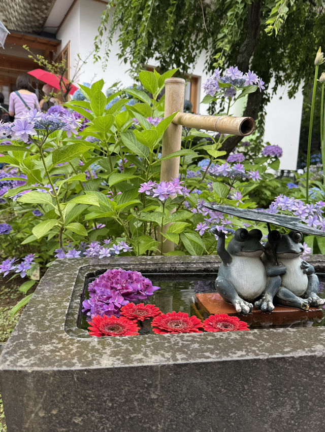 花手水と切り絵の御朱印が美しいお寺