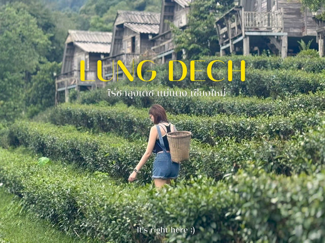 🌿☁️ “ไร่ชาลุงเดช” แม่แตง เชียงใหม่ 💚