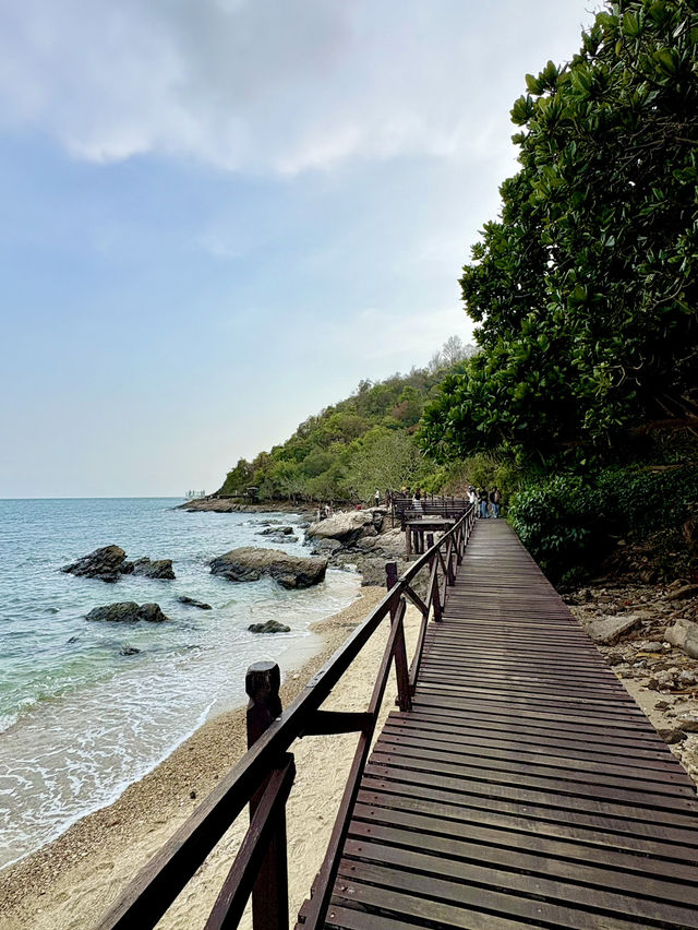 เขาแหลมหญ้า หมู่เกาะเสม็ด | ระยอง 🍍🏝️⛰️