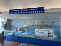 実は九州イチの大きさ！いおワールド鹿児島水族館