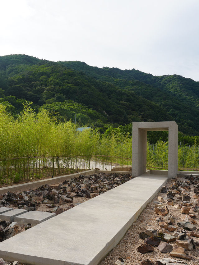 올 여름 무조건 무주로 떠나야하는 이유💚
