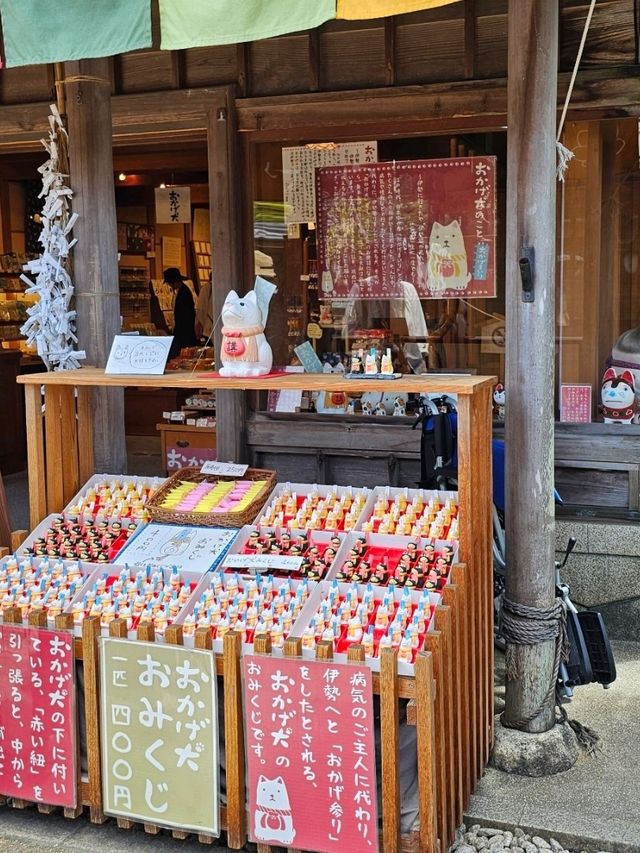 到伊勢帶吉祥犬回家吧！
