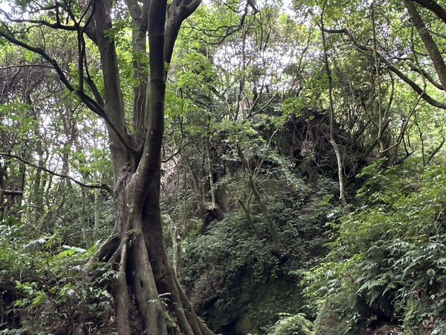 草山觀瀑吊橋。猴崁圳古道