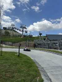 SKYLINE LUGE BEST! 