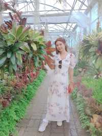 สวนพฤกษศาสตร์สมเด็จพระนางเจ้าสิริกิติ์ เชียงใหม่
