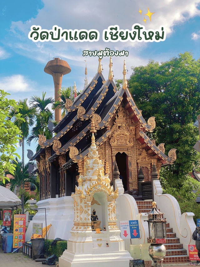 รีวิววัดป่าแดด จังหวัดเชียงใหม่ สายมูห้ามพลาด