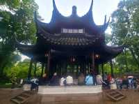 I came to this garden in Suzhou, and I was stunned by its beauty
