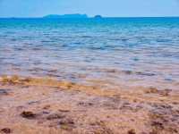 Red Cliffs ผาฝั่งแดง