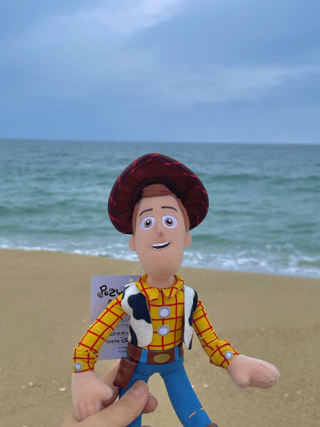 푸른 바다와 감성이 머무는 곳, 강문해변 🌊