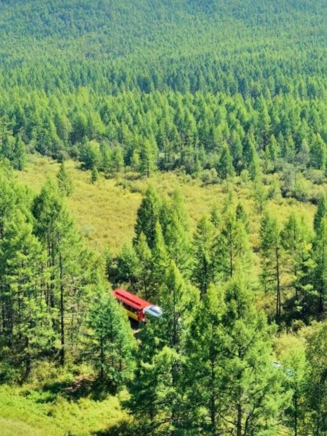 內蒙古5 天遊攻略🌳｜莫爾道嘎森林小火車📷