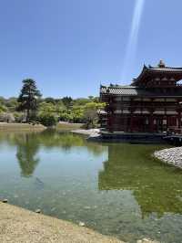 🏯🌸 Byōdō-in Temple – Heaven Reflected in Water