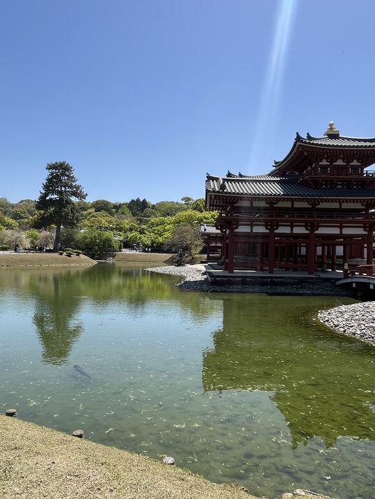 🏯🌸 Byōdō-in Temple – Heaven Reflected in Water