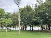 บรรยากาศฤดูฝนชิล ๆ ที่ ‘ห้วยตึงเฒ่า’ 