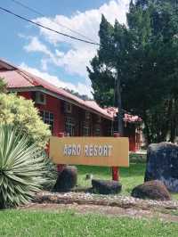 Where Village Charm Meets Nature – Explore Peladang Setiu
