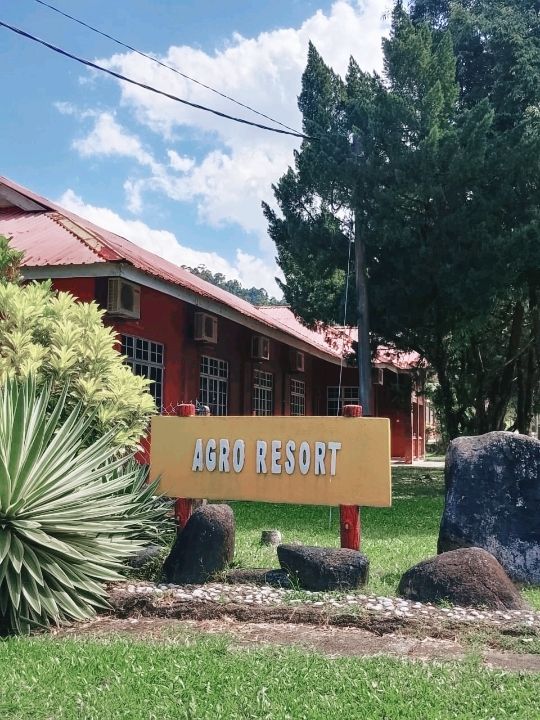 Where Village Charm Meets Nature – Explore Peladang Setiu