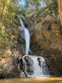 Jungle Trek & Waterfall Magic