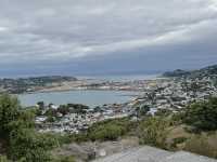 Pier walks & hill tops 