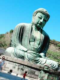 【鎌倉 長谷 高徳院の大仏、由比ヶ浜から材木座までを歩く】