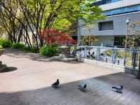 隱身大阪銀行街中的都市之肺/大阪中之島綠地公園