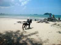 SAMILA with BREEZY environment