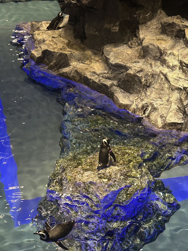 Sumida Aquarium🐠