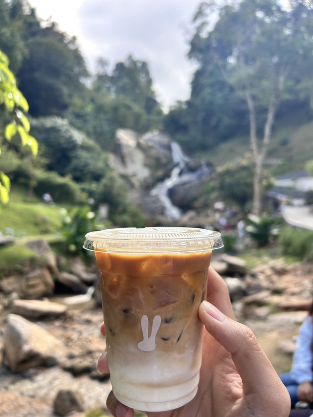 🌿 WTF Coffee Camp – คาเฟ่ริมน้ำสุดชิลในแม่ริม