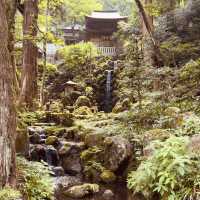 🌊 Solo Zen Escape: Hase-dera Temple in Kamakura